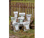 Airway Herbs