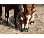 Mineral Lick Bowl Bronchial