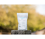 MSM Powder