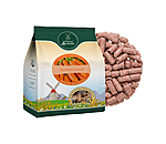 Carrot Treats
