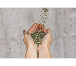 Immune Herbs
