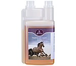 Devil's Claw Liquid