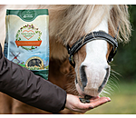 Nature Treats Carrot