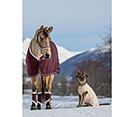 Advent Calendar for Horses
