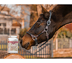 Herbal Mixture Mad Mare