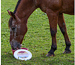 Mineral Lick Bowl Daily