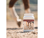 Joint Powder Synovia Pro