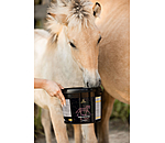 Vitamin and Mineral Supplement Junior Premium