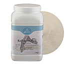 Joint Powder Collagen Plus