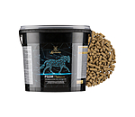 Muscle Metabolism Premium