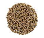 Muscle Metabolism Premium