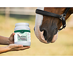 Spirulina Pellets
