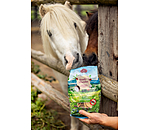 Garlic Wonder Treat Mix