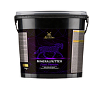 Vitamin and Mineral Supplement Broodmare Premium