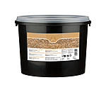 Yellow Linseed