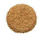 Yellow Linseed