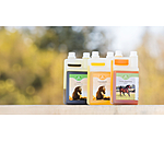 Omega Oil Blend