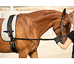 Leather Side Reins