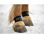 Fetlock Guards