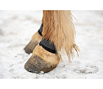 Fetlock Guards