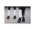 Perfect Protection Dressage Boots, hind legs