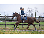 Fetlock Boots