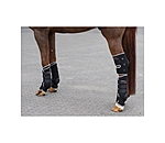 Hock Boots Magnetic Circulation