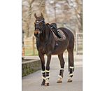 Teddy Fleece Dressage Boots Essential, Hind Legs