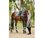 Teddy Fleece Dressage Boots Essential, Hind Legs