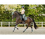 Teddy Fleece Dressage Boots Essential, Hind Legs