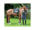 Teddy Fleece Dressage Boots Essential, hind legs