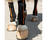 Compression Bandages Ceramic Rehab, Front Legs