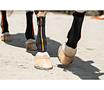 Compression Bandages Ceramic Rehab, Front Legs