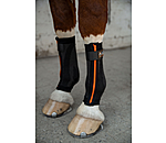 Compression Bandages Ceramic Rehab, Front Legs