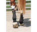 Compression Bandages Ceramic Rehab hind legs