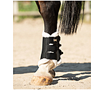 Air Mesh Dressage Boots Everyday, Hind Legs