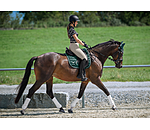 Boots Perfect Protection Air Mesh (front legs)