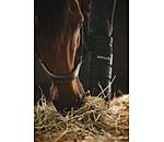 Stable Boots Pro