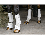 Dressage Boots All Day, Front Legs