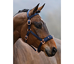 Lungeing Headcollar