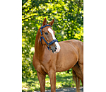 Lungeing Headcollar