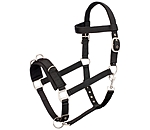 Lungeing Headcollar