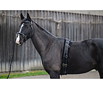 Teddy Fleece Lunge Roller