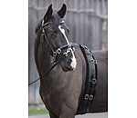 Teddy Fleece Lunge Roller