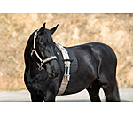 Lungeing Headcollar Freedom