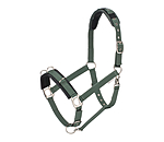 Lungeing Headcollar Freedom