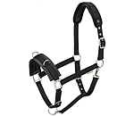 Lungeing Headcollar Freedom