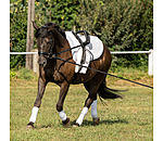 Vaulting Roller Master