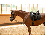 Bungie Training Reins