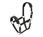 Lungeing Headcollar Solid